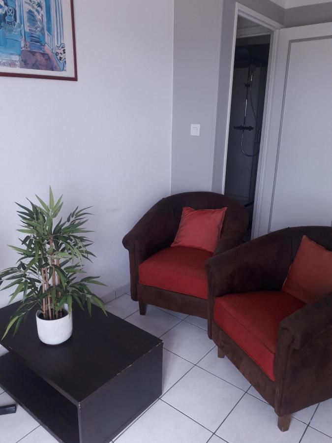 Residence D'Anjou - Grand Studio Avec Balcon Et Parking Privatif Περπινιάν Εξωτερικό φωτογραφία